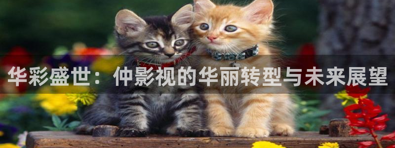 韩国影视免费在线观看