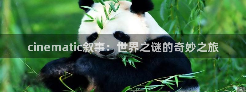 韩国影视大全：cinematic叙事：世界之谜的奇妙之旅