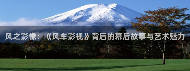 韩国影视电影：风之影像：《风车影视》背后的幕后故事与艺术魅力