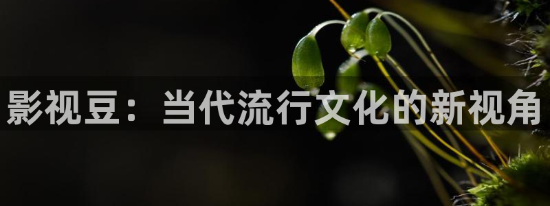 穿梭在韩国影视世界的小说：影视豆：当代流行文化的新视角