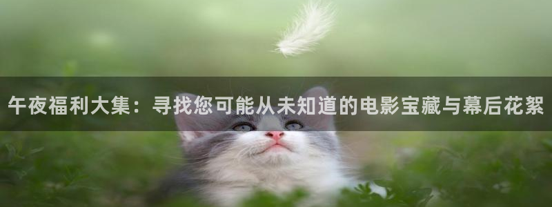 穿梭在韩国影视世界的小说